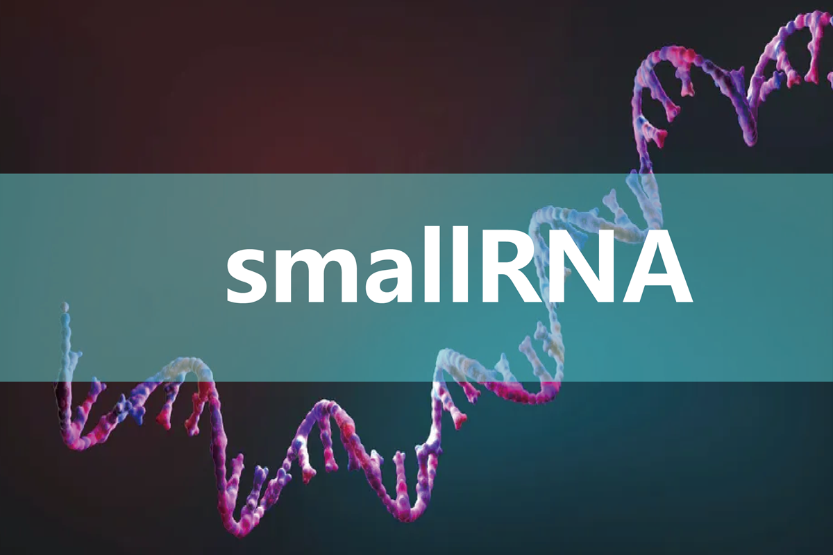 广州市唯誉智合科技有限公司